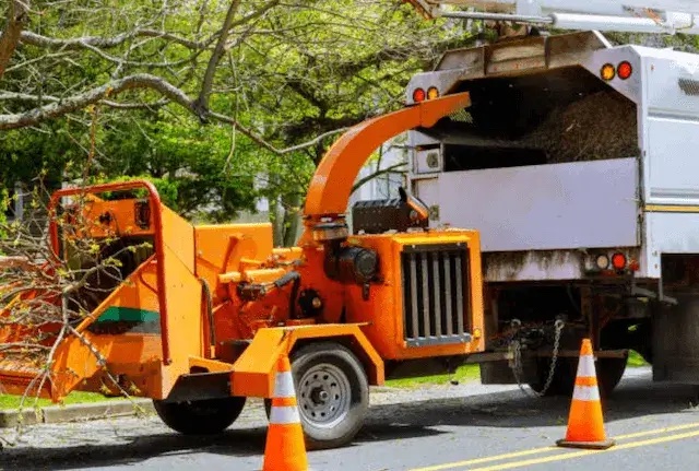 tree removal allegheny