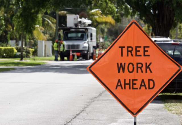 tree removal Brentwood pa