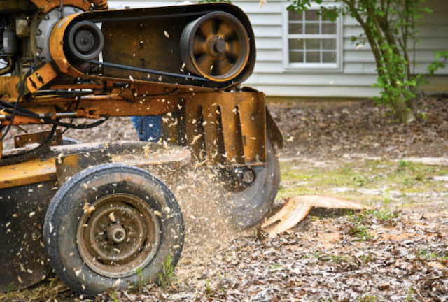 stump grinding allegheny pa